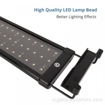 Đèn LED màu xanh &amp; trắng LED nước ngọt LED LED